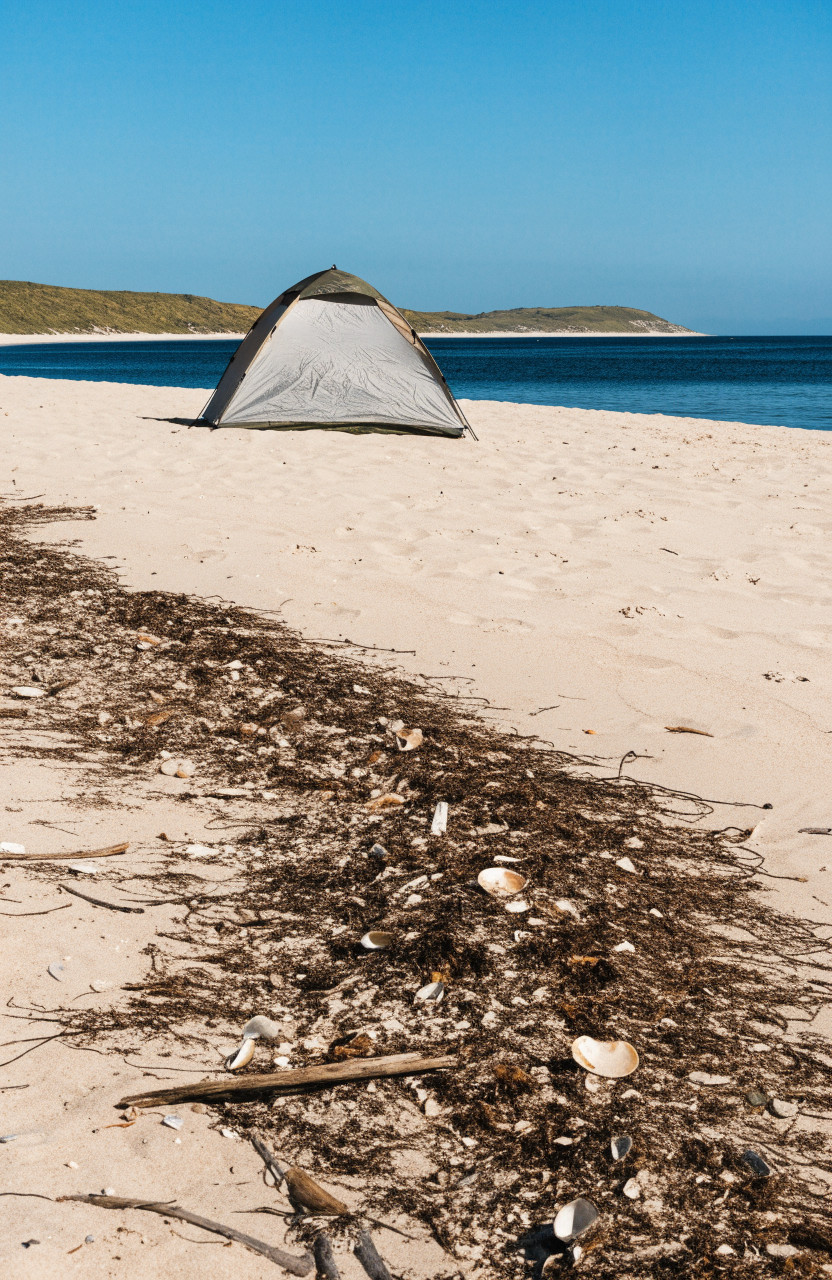 Tent pitched on high beach sand above seaweed line with ocean behind