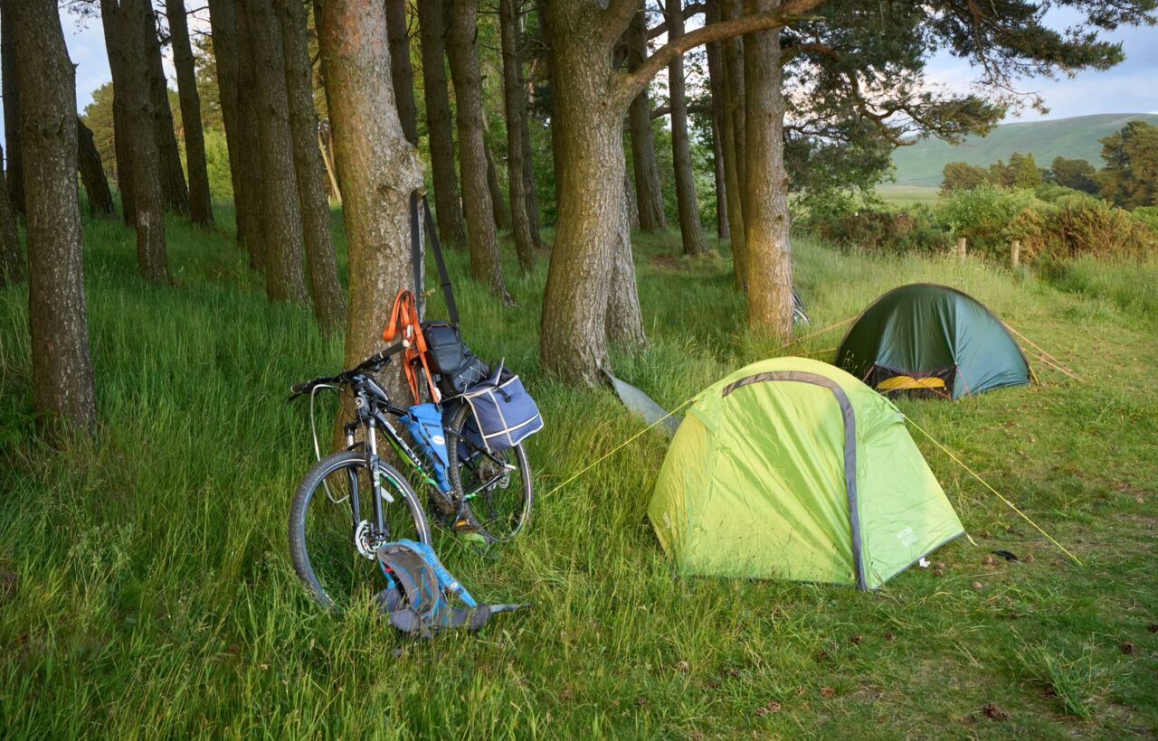 Mountain bike with panniers and bags leaning on a pine tree beside two small tents in long grass