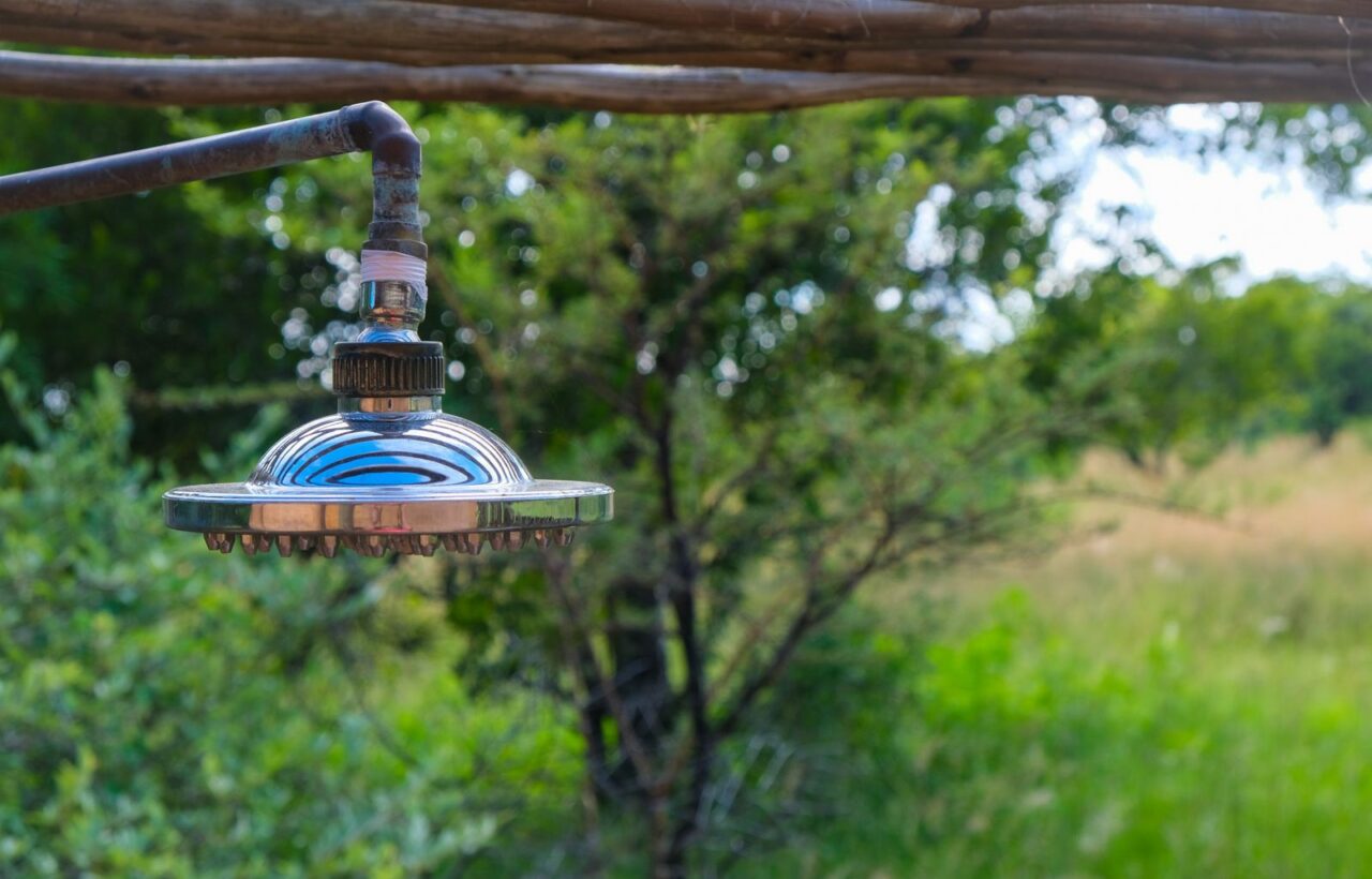 Outdoor shower head hanging from a rustic branch frame with green bush behind