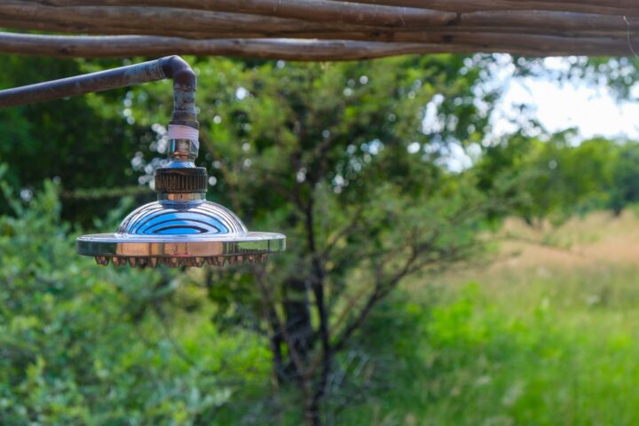 Outdoor shower head hanging from a rustic branch frame with green bush behind