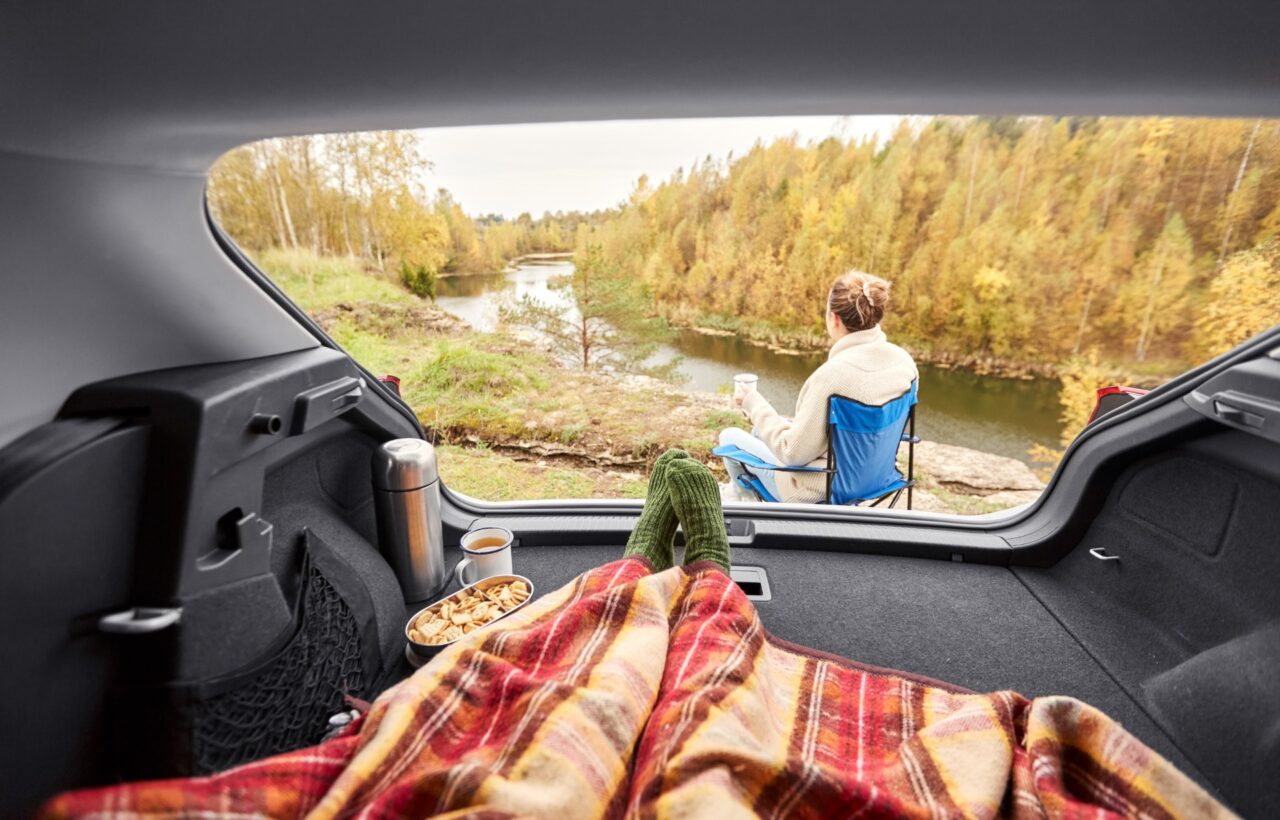 car camping window covers