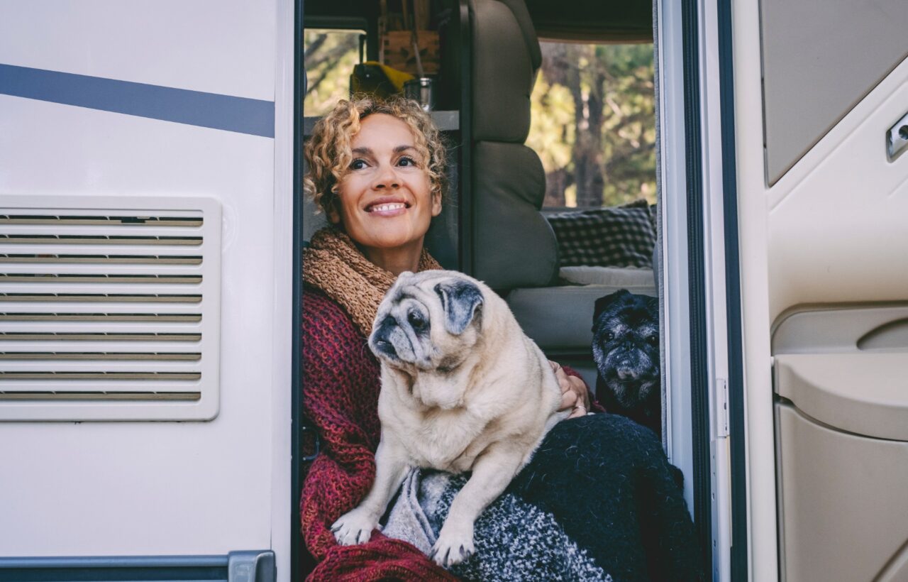 car camping with dogs