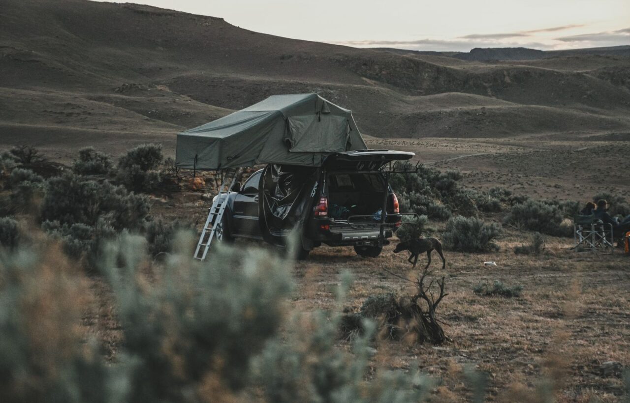 SUV with a deployed roof tent and open tailgate in sagebrush hills at dusk, a dog walking past