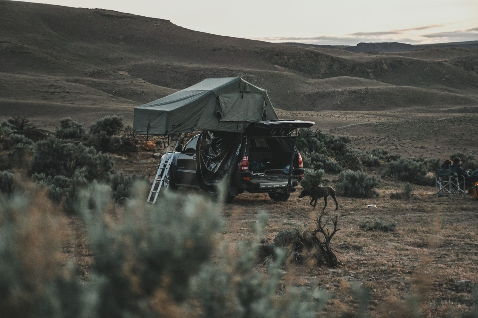 SUV with a deployed roof tent and open tailgate in sagebrush hills at dusk, a dog walking past