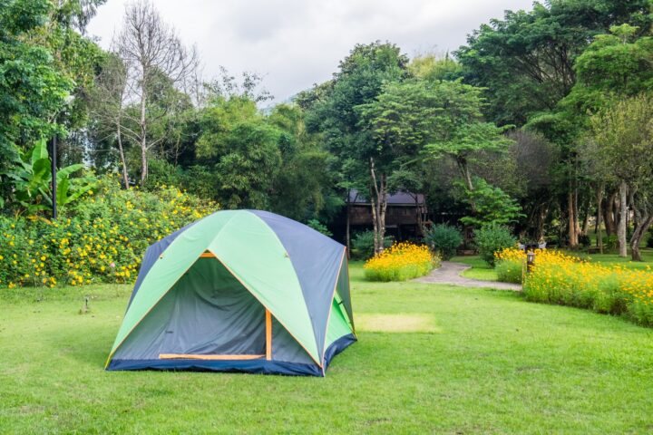 Backyard Tent Camping: How to Plan a Great Night Out