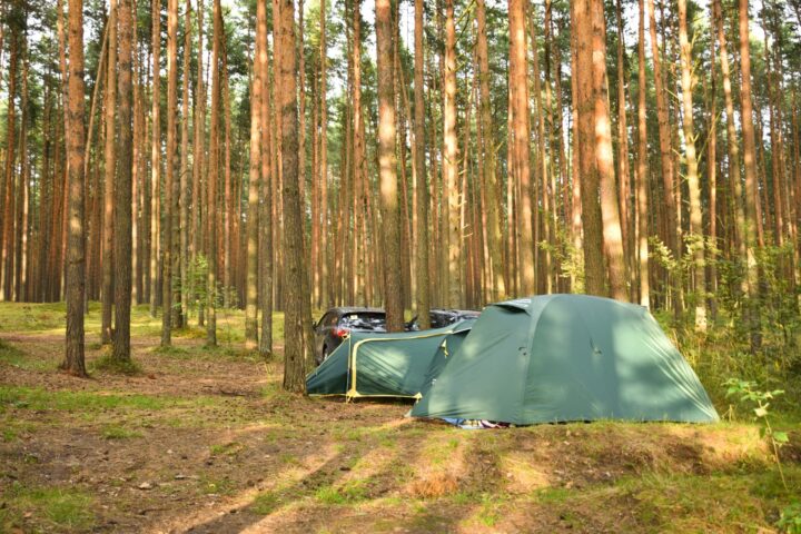 20 Tent Camping Tips for a Dry, Warm Night