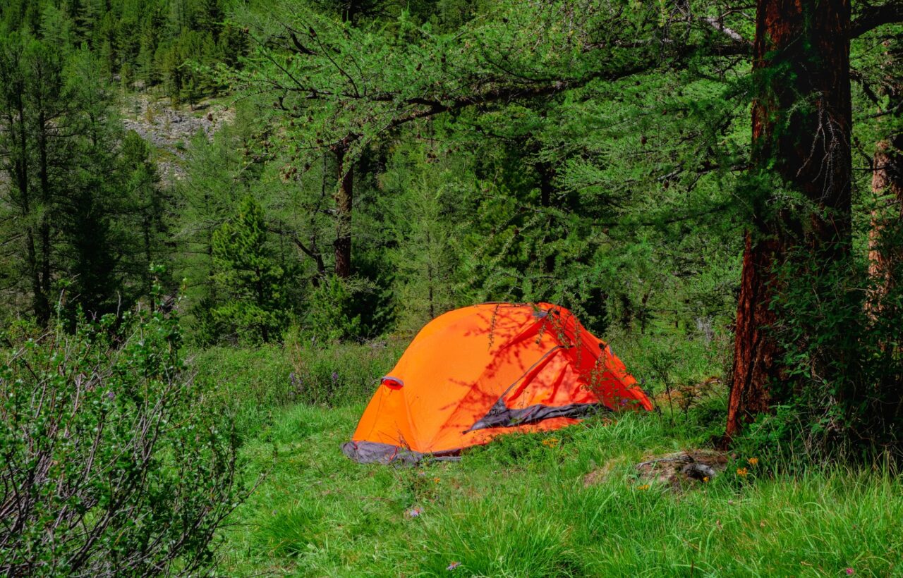 Tree Tent Camping: How Suspended Tents Work