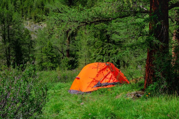 Tree Tent Camping: How Suspended Tents Work